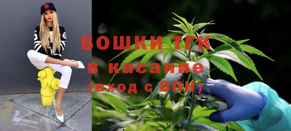 эйфоретик Дмитровск