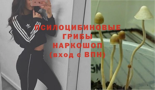 МДМА Дмитров