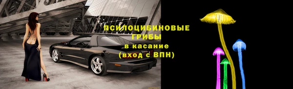 спайс Дмитриев