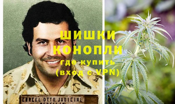 спайс Дмитриев