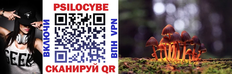 Псилоцибиновые грибы Psilocybine cubensis  Новотитаровская 